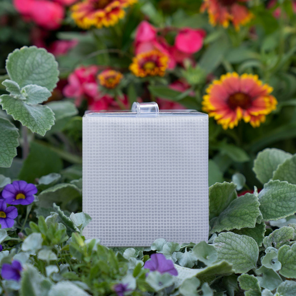 Genesis Solar Lantern Cube in garden outdoors