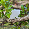 Genesis Solar Lantern Cube on tree branches outdoors